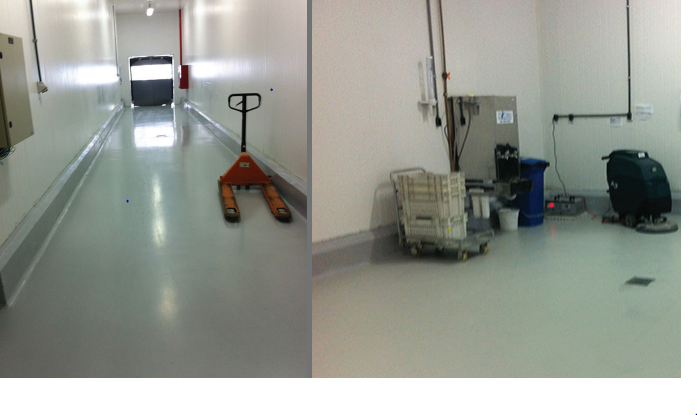 Piso para Laticínios