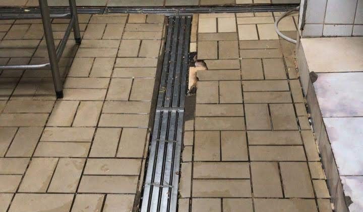 Piso para Cozinha Industrial