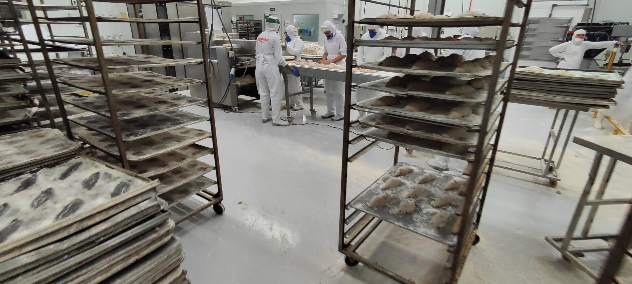 Piso para Laticínios